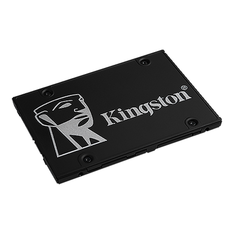 Kingston KC600 SSD 1TB 256GB 5 - Samsung Ssd Evo 870 recensione e prezzo